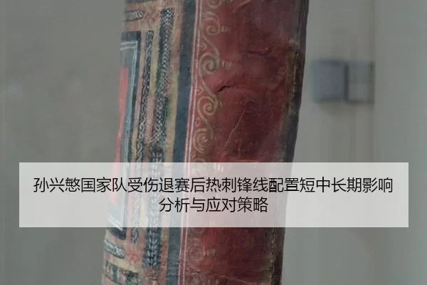 sun-xing-min-guo-jia-dui-shou-shang-tui-sai-hou-re-ci-feng-xian-pei-zhi-duan-zhong-chang-qi-ying-xiang-fen-xi-yu-ying-2-242.jpg